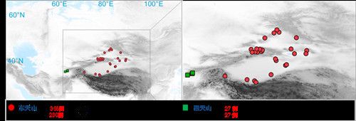 项目获取的天山东西部古人群的线粒体与核基因组分布图。 AC米兰中国官网供图